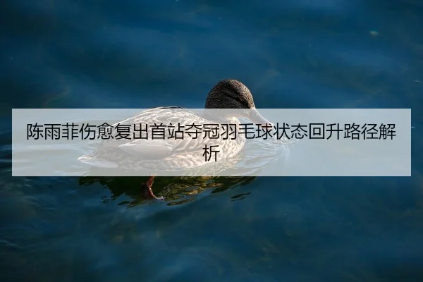 陈雨菲伤愈复出首站夺冠羽毛球状态回升路径解析